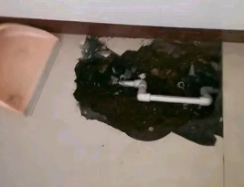 孟村卫生间测漏水多少钱